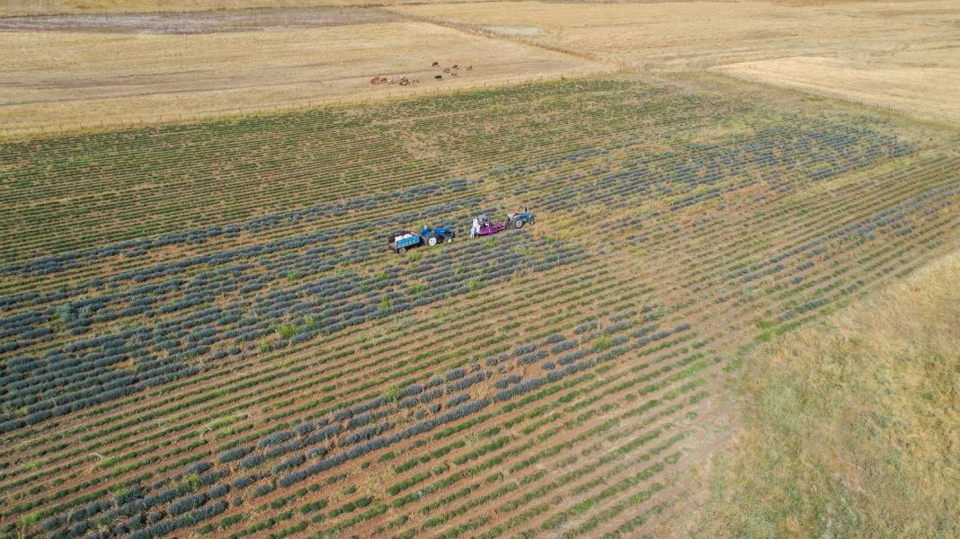 Kadın Mühendis Diyarbakır'da Yapılamaz Denileni Yaptı! 10 Tonundan 250 Kilo Yağ Çıkarıyor 2